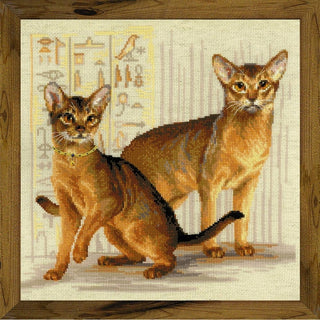 Chat abyssiniens 1671 Riolis