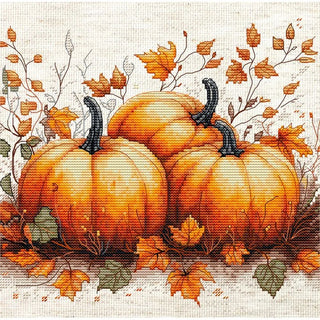 Luca-S B1434  Citrouille d'automne