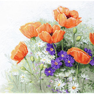 Luca-S B2368  Coquelicots