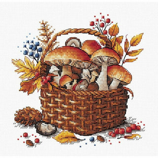 Basket of mushrooms P097 Ava