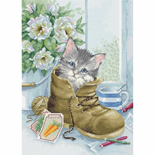 Chaton mignon B2391 Luca-S