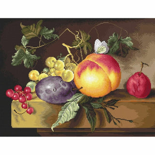 Still Life of Fruit B593 Luca-S