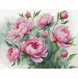 Le charme des Pivoines B7019 Luca-S