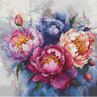 Roi des Fleurs Pivoines B7027 Luca-S