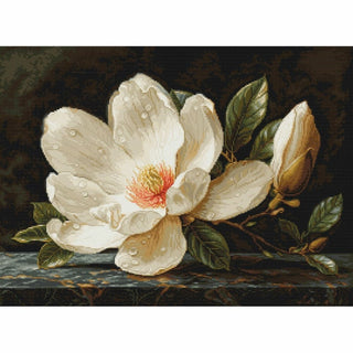 Magnolia B713 Luca-S