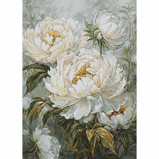 Pivoines printanières B715 Luca-S