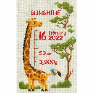 Aim high 2125 Riolis