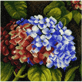 Hortensia 0144564 Lanarte