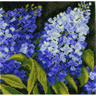 Lilas 0144566 Lanarte