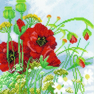 Coquelicots 0146360 Lanarte