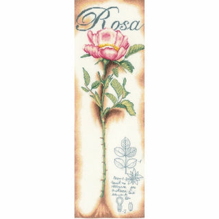 Roses Rose 0154334 Lanarte