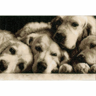 Familles de labradors 0154541 Vervaco