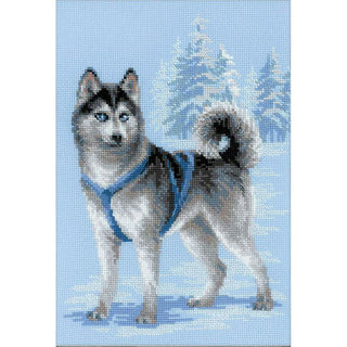 Husky le chien 1626 RIOLIS