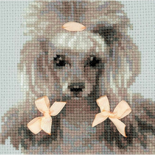 Caniche 1635 RIOLIS