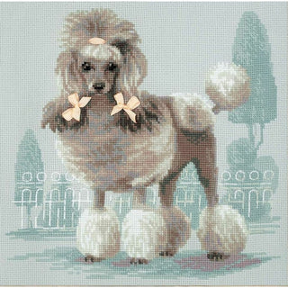 Caniche 1635 RIOLIS