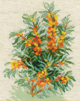 Argousier 1648 RIOLIS