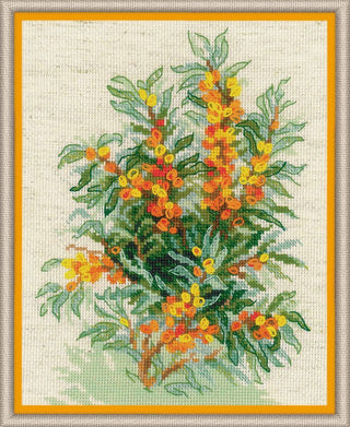 Argousier 1648 RIOLIS