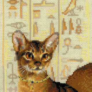 Chat abyssiniens 1671 Riolis