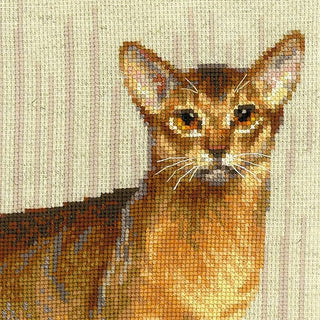 Chat abyssiniens 1671 Riolis