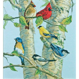 OISEAUX DE BOULEAU DIMENSIONS 35252