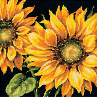 TOURNESOL DRAMATIQUE 71-20083 Dimensions