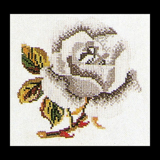 Thea Gouverneur 820A Rose blanche