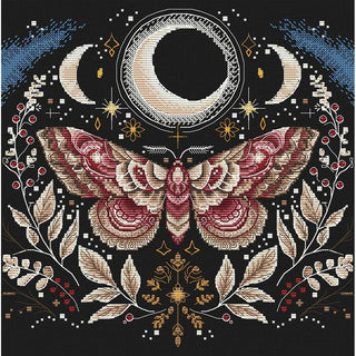 Papillon de nuit P035 Ava