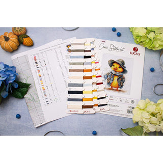 Luca-S B1416  Le détective canard