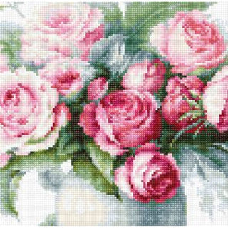 Luca-S B2280  Etude avec des Roses