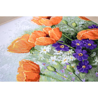 Luca-S B2368  Coquelicots