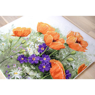 Luca-S B2368  Coquelicots