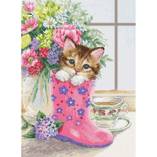 Luca-S B2390  Joli chaton