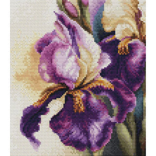 Luca-S B7023  Iris Burgermeister