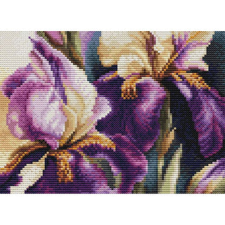 Luca-S B7023  Iris Burgermeister