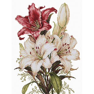 Luca-S B7054  Le parfum des lys