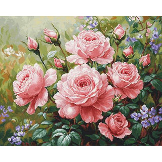 Luca-S B717  Le jardin des roses
