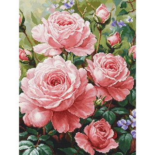 Luca-S B717  Le jardin des roses