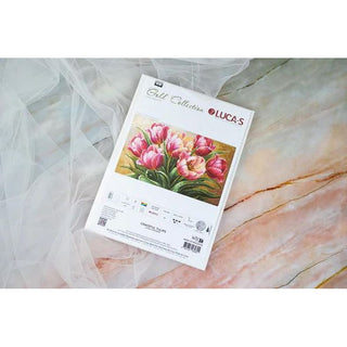 Luca-S B718  Tulipes gracieuses