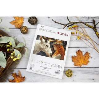 Luca-S B724  Le doux esprit de la forêt