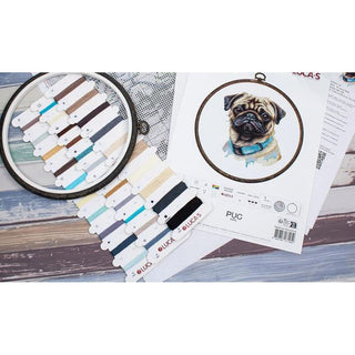 Luca-s BC230  Le Carlin