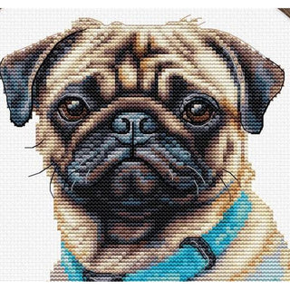 Luca-s BC230  Le Carlin