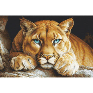 Luca-S BU5081 The Wild Spirit