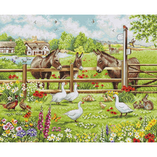 Luca-S BU5087 Donkey Courtyard