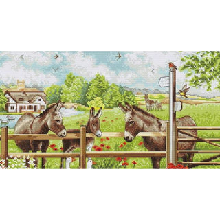 Luca-S BU5087 Donkey Courtyard