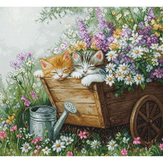 Luca-S BU5093 Kittens' Sleep