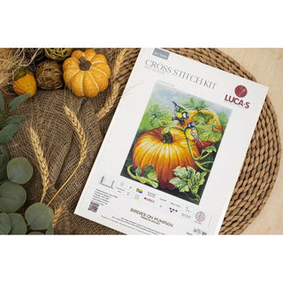 Luca-S BU5094 Birds on Pumpkin