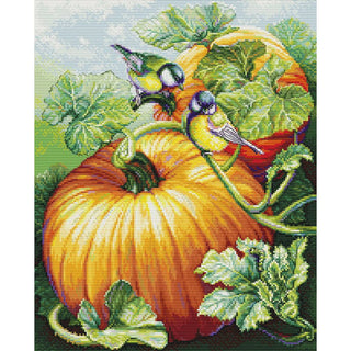 Luca-S BU5094 Birds on Pumpkin