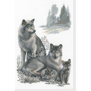 RKFLGEW Kit Point De Croix Imprimé Loup Noir Et Blanc 14CT - 30x40cm Pour Débutants Et Adultes