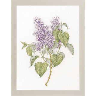Branche de Lilas  588 lin  Thea Gouverneur