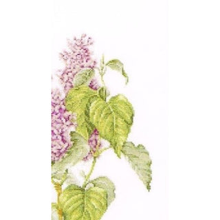 Branche de Lilas  588 lin  Thea Gouverneur